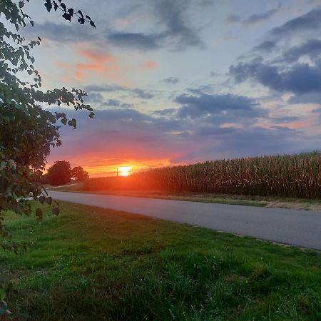 De Berenshoeve Emmen Exteriör bild